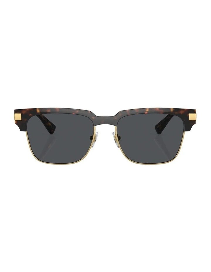 VE4447 Sunglasses in Tortoise