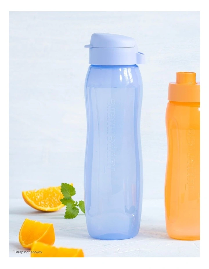 Eco Bottle Gen II 750ml in Blueberry Mist