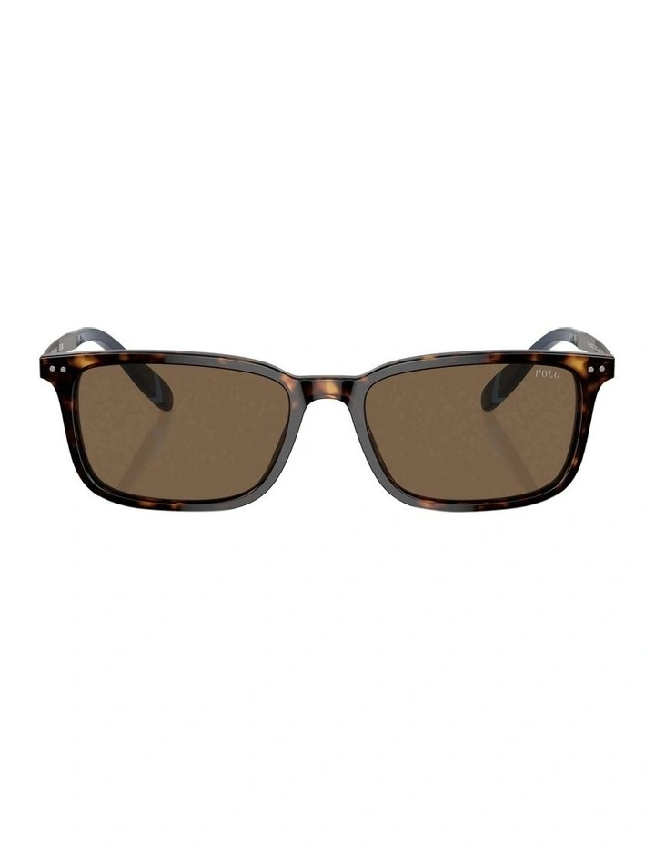 PH4212 Sunglasses in Brown