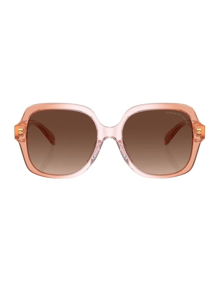 CR614 Polarised Sunglasses in Brown
