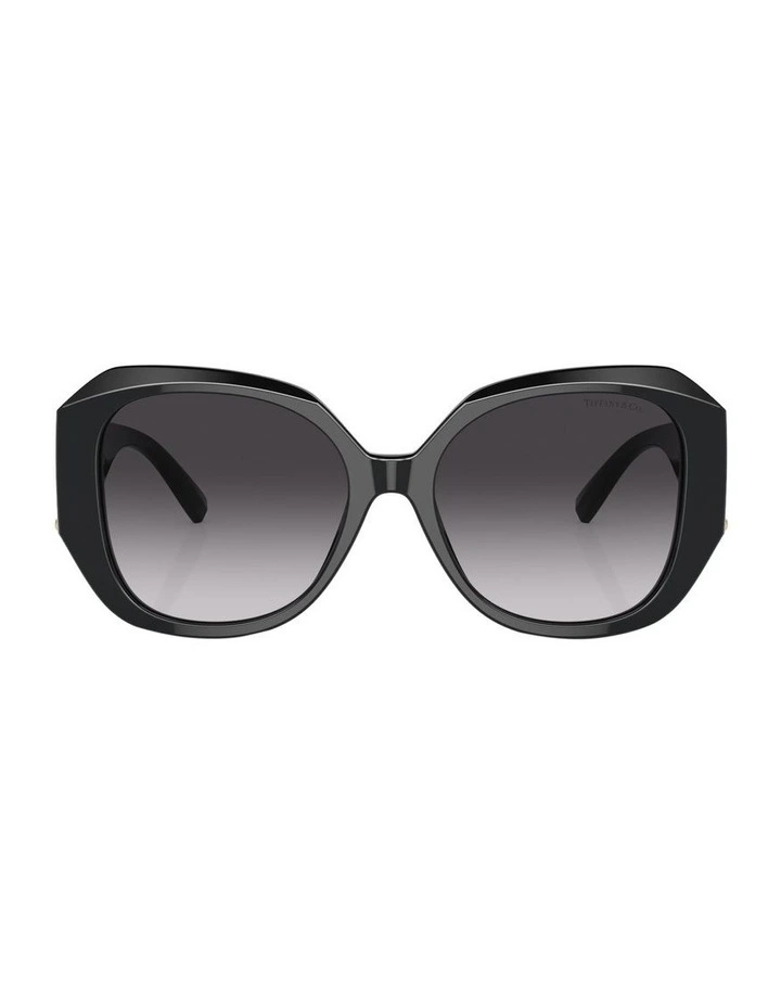 TF4207B Sunglasses in Black
