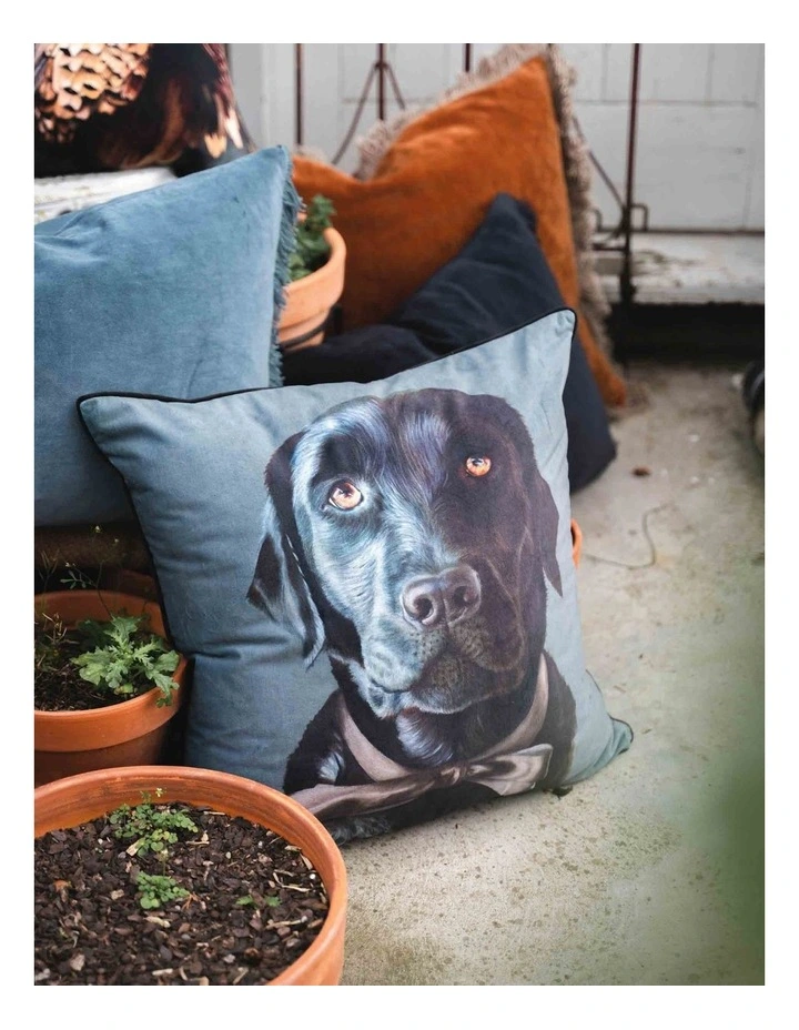 Baghi The Lab Cushion in Multi