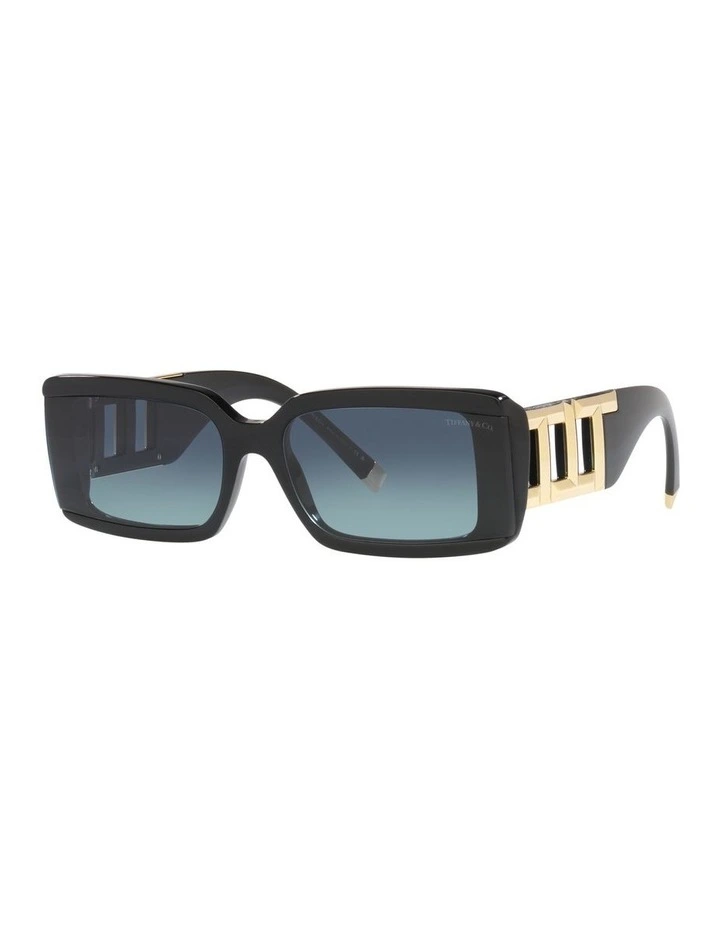 0TF4197 Sunglasses in Black