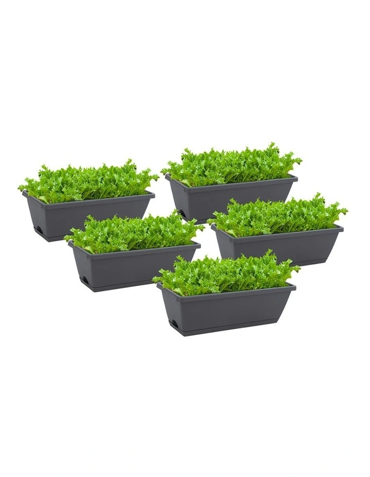 Rectangular Planter Plastic Box with Holder 49.5cm Set of 5 in Black