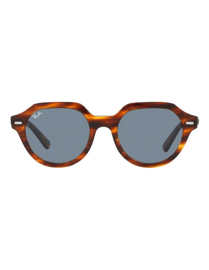 Gina Sunglasses in Brown