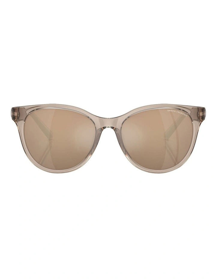 AX4144SU Sunglasses in Brown