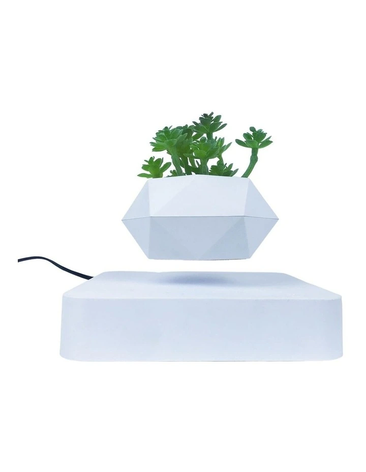 Rotating Magnetic Levitating Indoor Pot plant in White