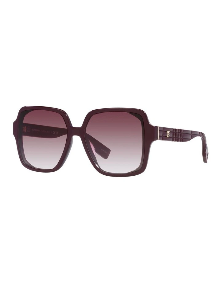 0BE4379D Sunglasses in Violet