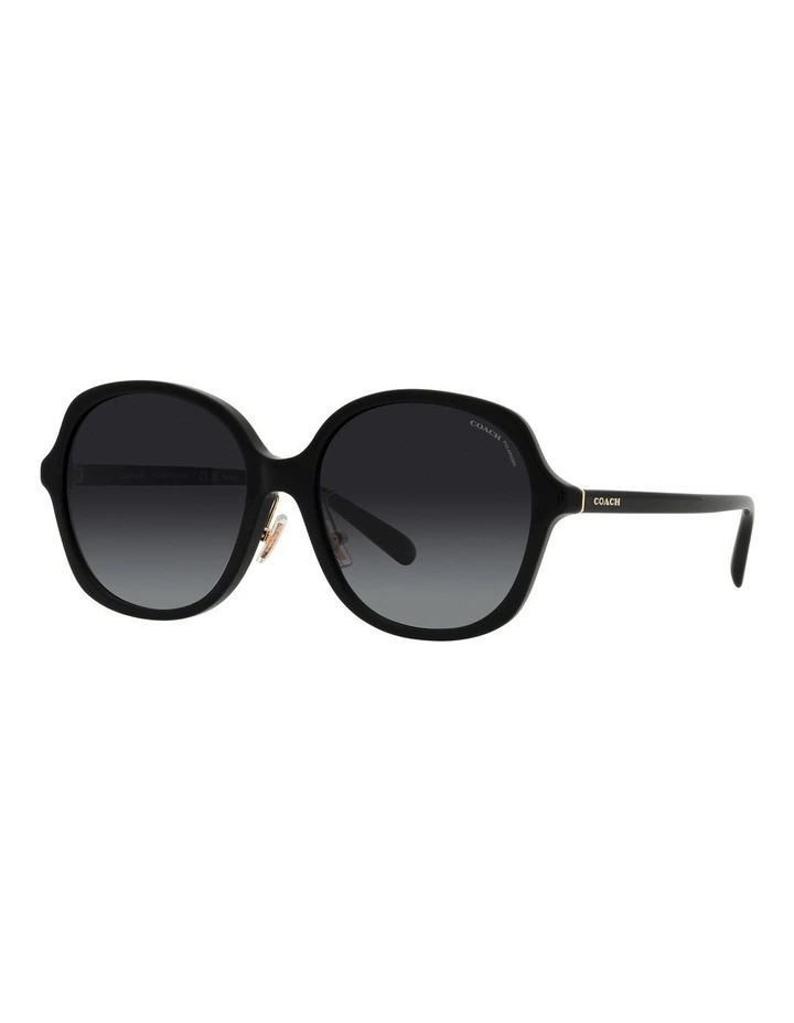 CH610 Polarised Sunglasses in Black