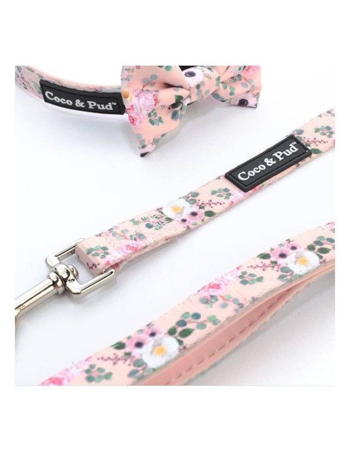 Provence Rose Reversible Dog lead/ Leash