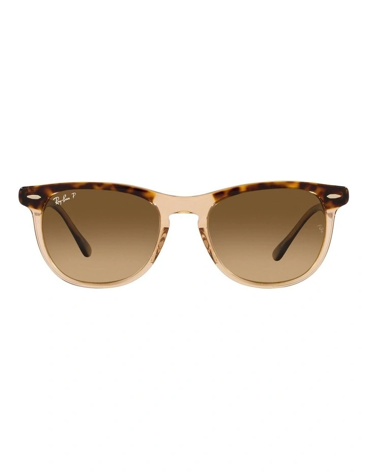 Eagle Eye Polarised Sunglasses in Gold
