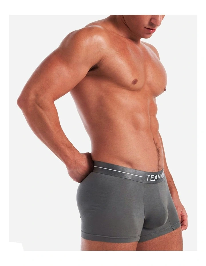 Icon Trunk in Gunmetal