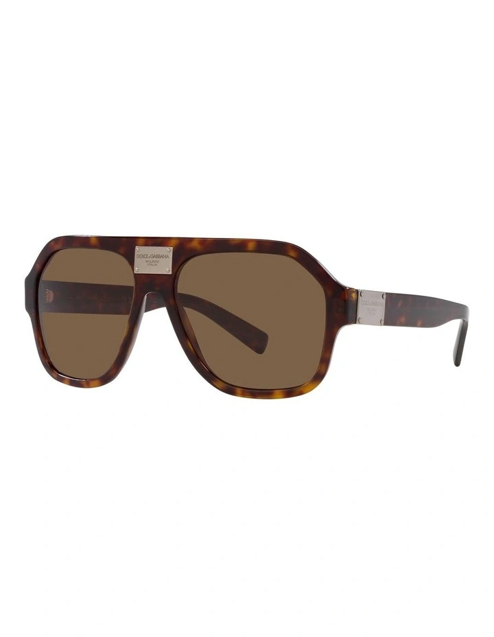 DG4433F Tortoise Sunglasses in Brown