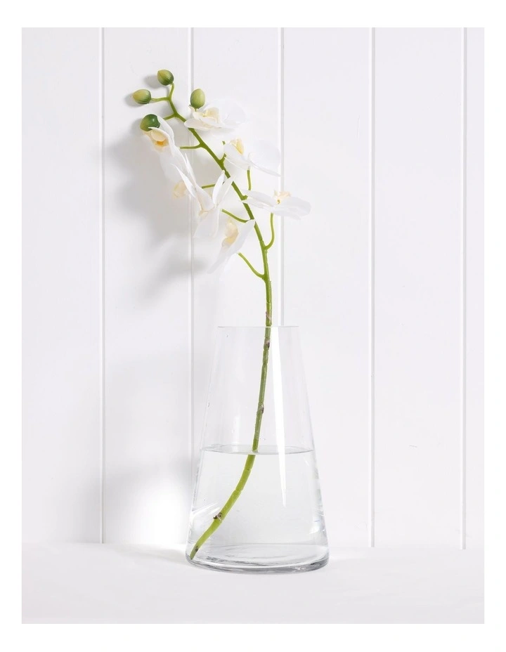 Essential Glass Tall Cone Vase 25cm in Clear
