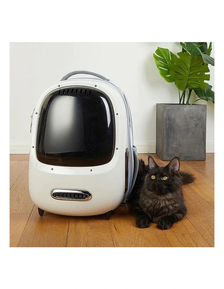 Breezy 2 Smart Cat 45cm Backpack in Cream White