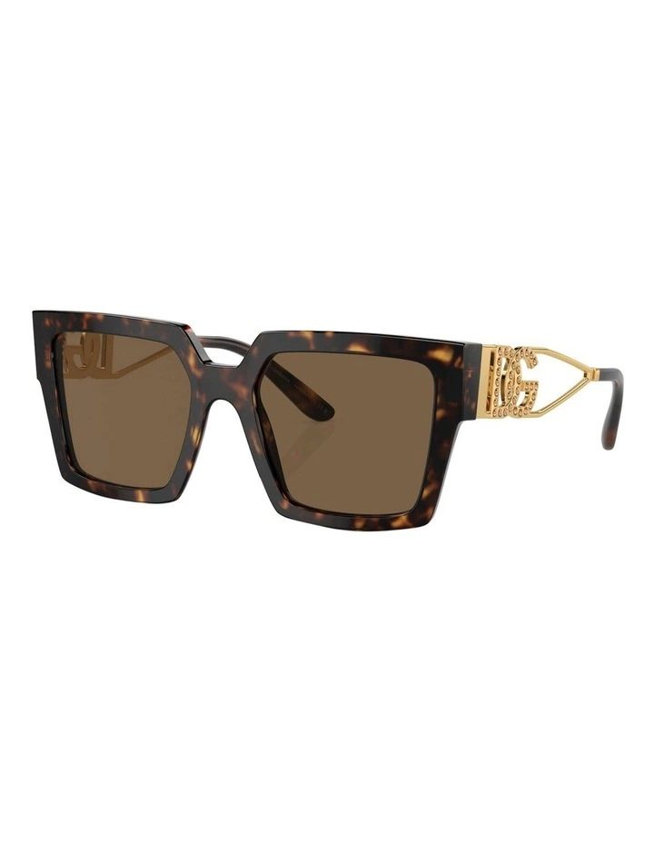 DG4446B Sunglasses in Tortoise