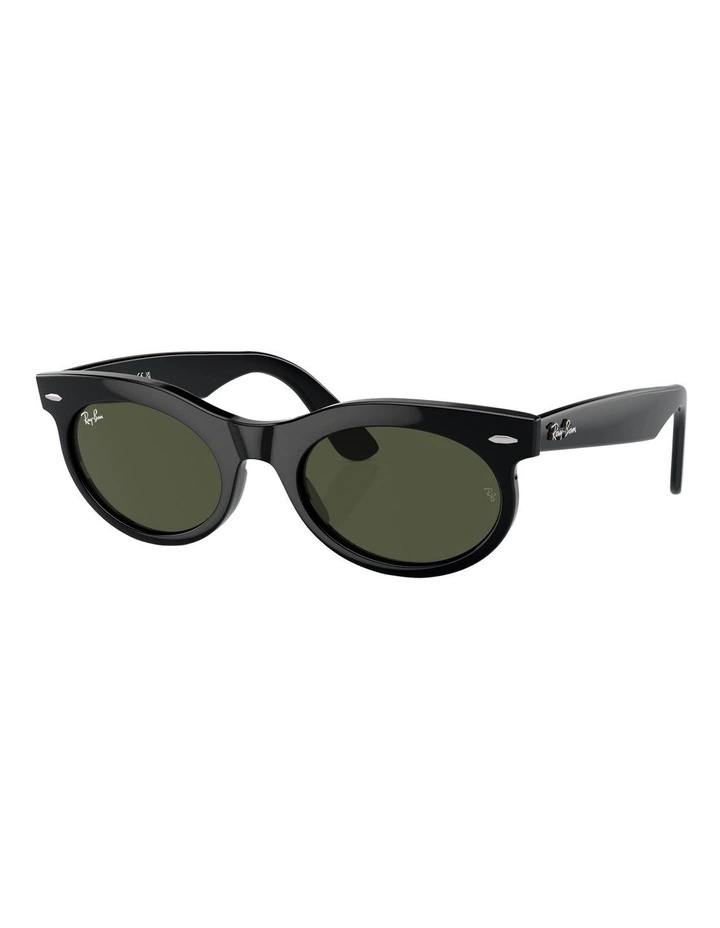 Wayfarer Oval Sunglasses in Black