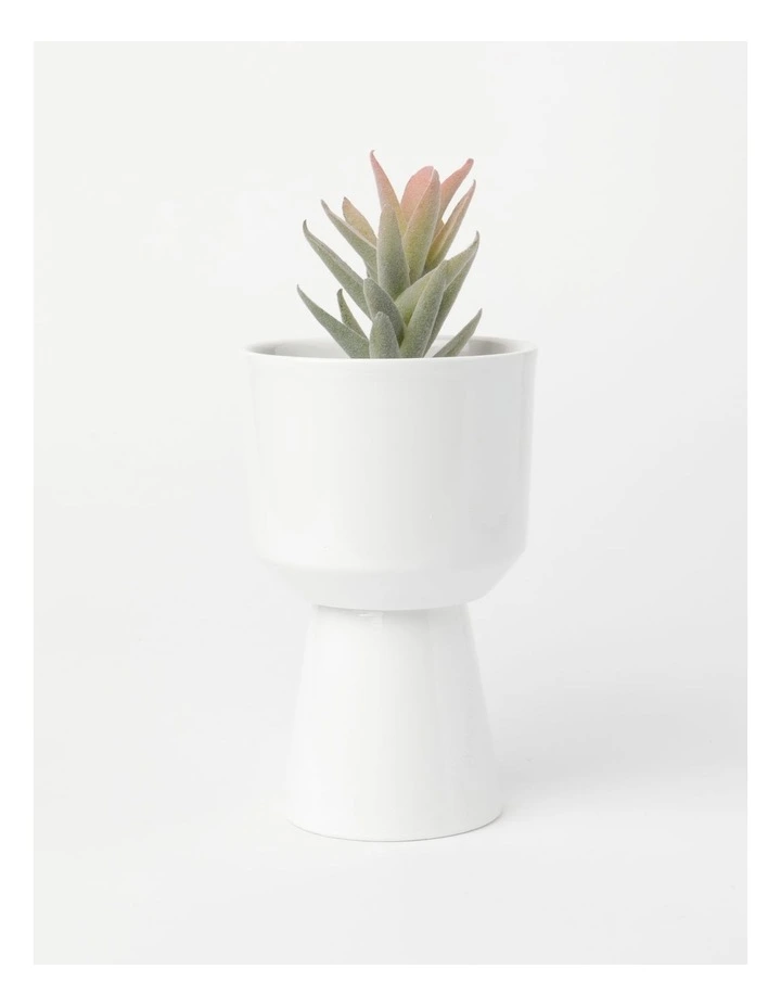 Eden Terracotta Planter Pot 18cm in White