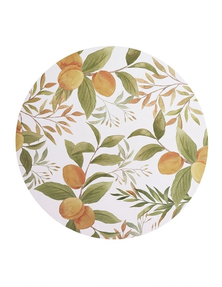 Spring Round Placemat Set Of 4 Multi