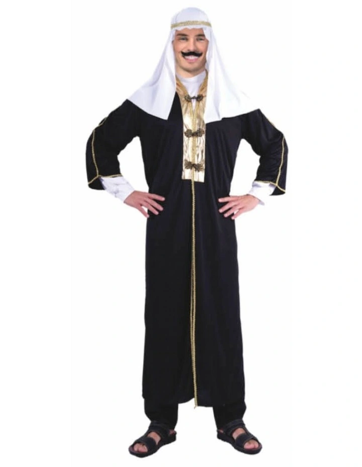 Deluxe Arabian Costume in Multi