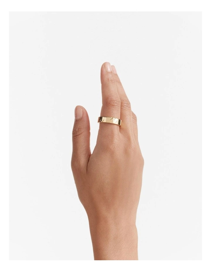 Instrumental Ring in Gold