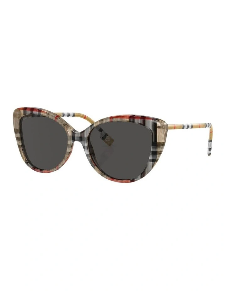 BE4407 Sunglasses in Brown