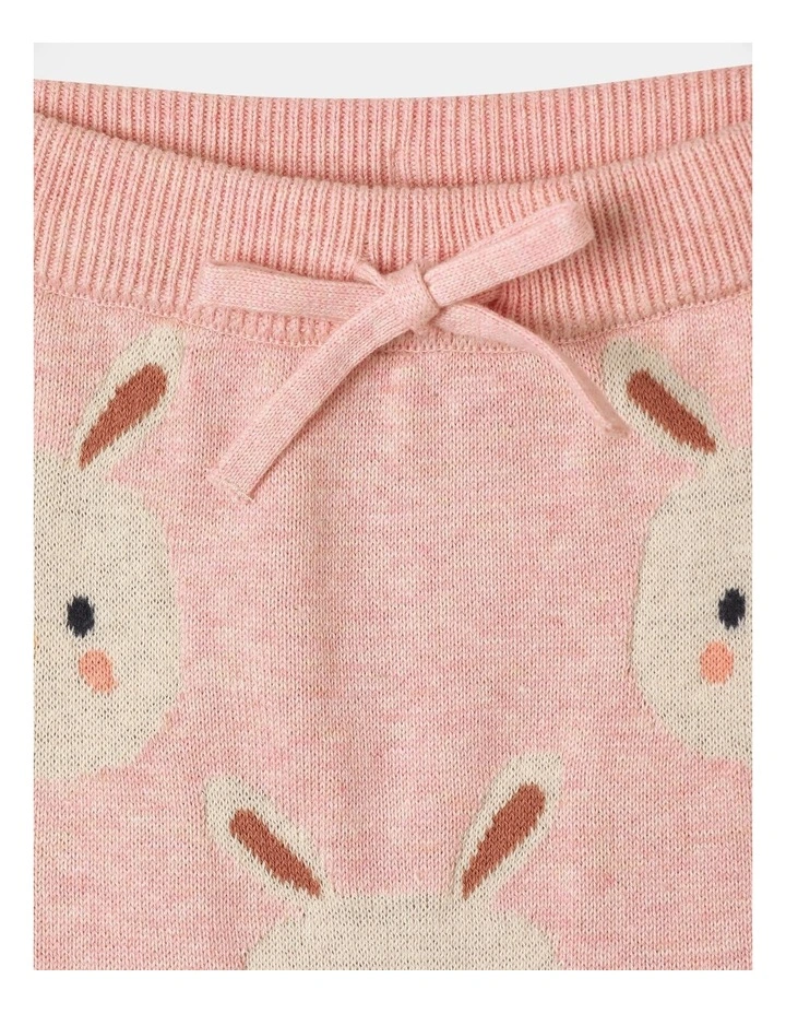 Jed Knit Pant in Pink