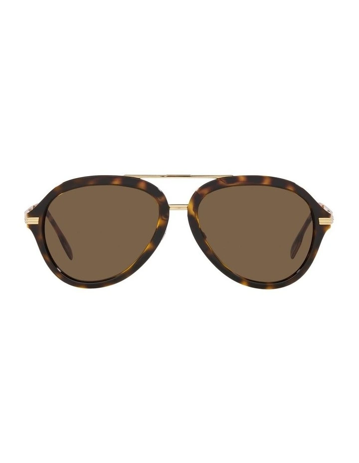 Jude Sunglasses in Brown