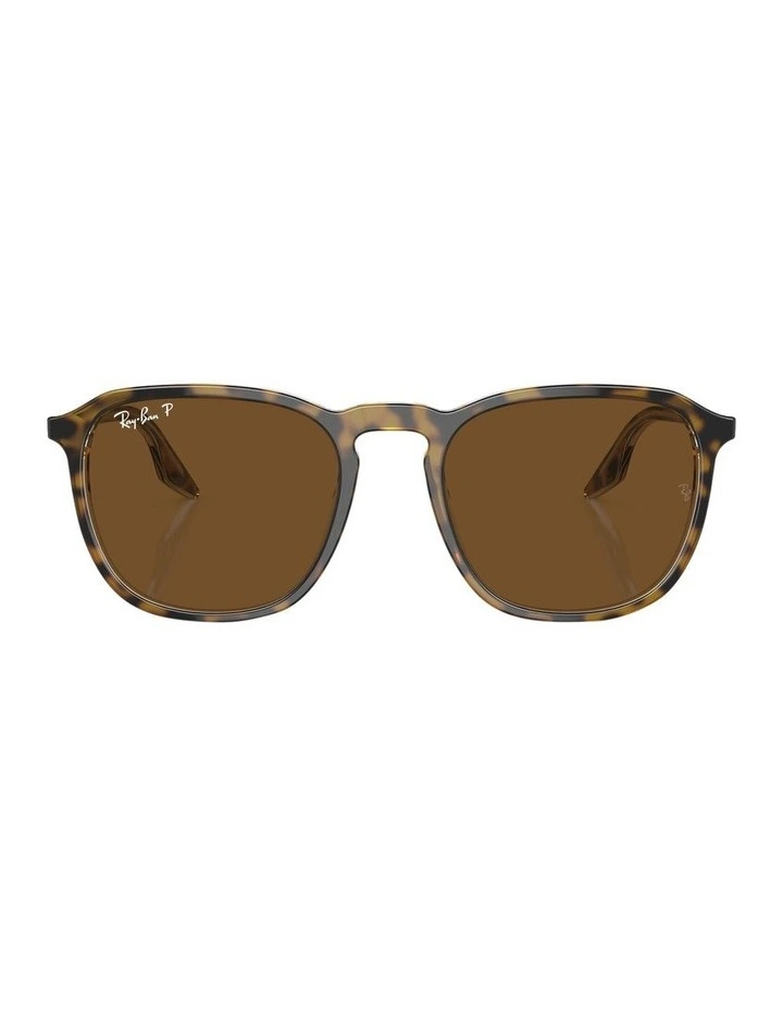 Polarised RB2203 Sunglasses in Tortoise