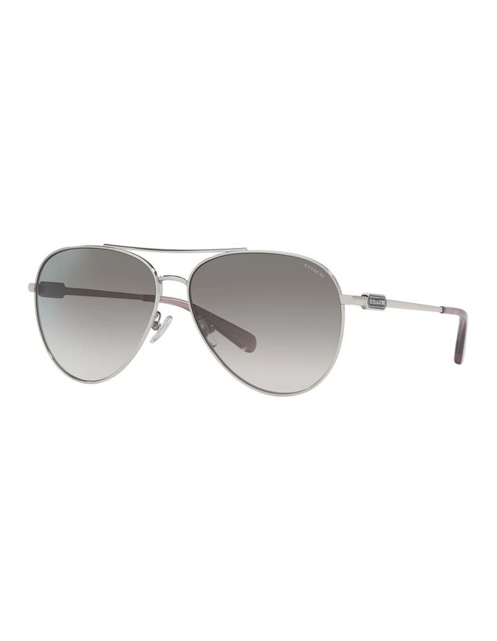 CD474 Sunglasses in Shiny Silver