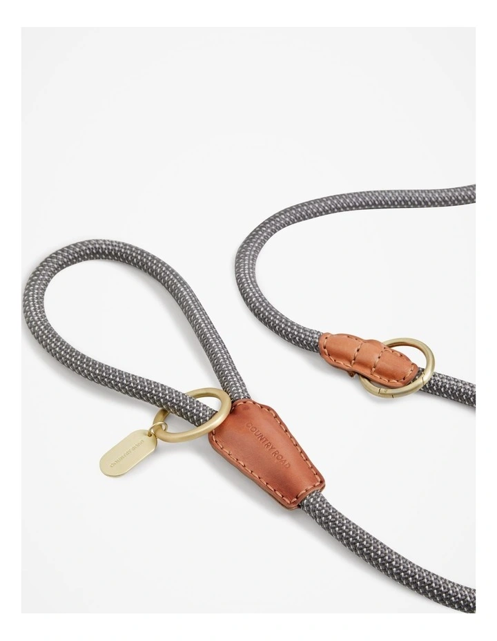 Alfie Recycled Polyester Large Pet Lead in Lake Grey