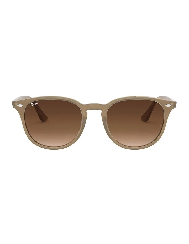 RB4259 Brown Sunglasses
