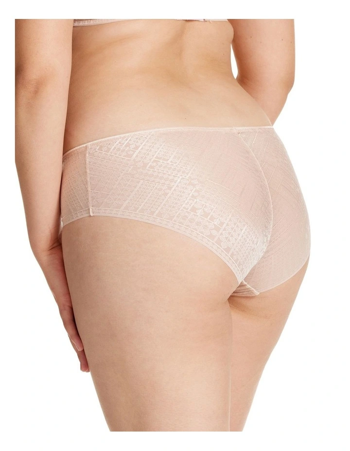 Shine Brief in Champagne