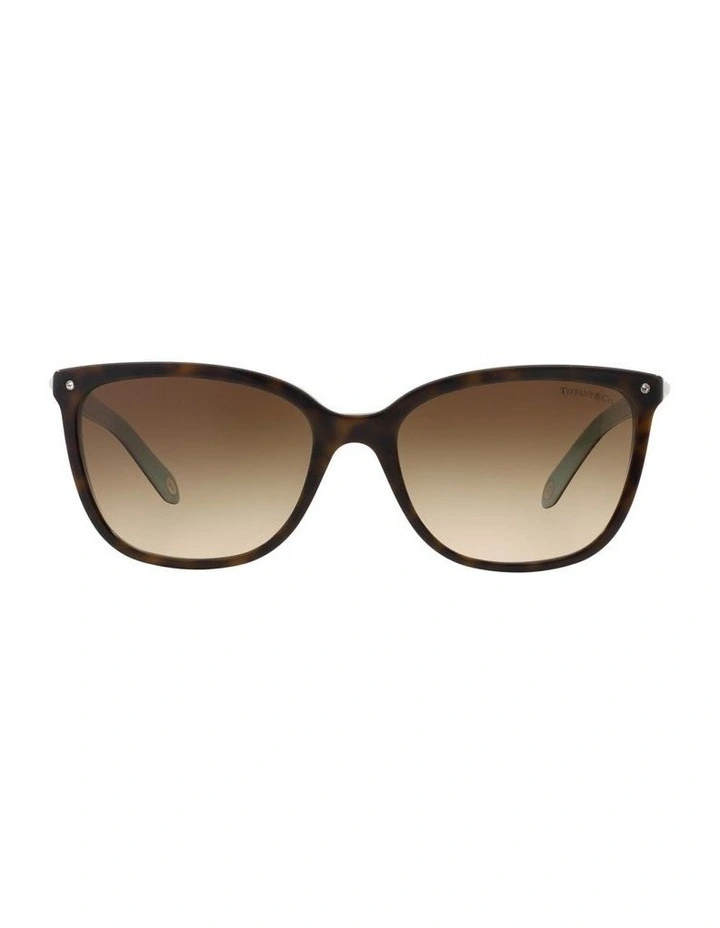 TF4105HB Tortoise Sunglasses