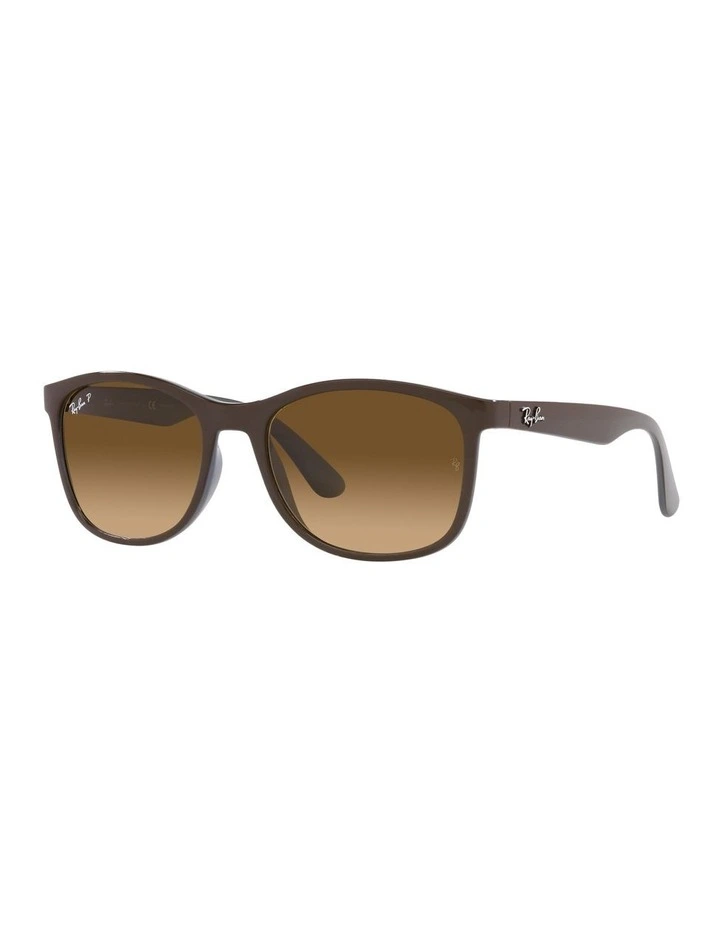 RB4374 Brown Polarised Sunglasses