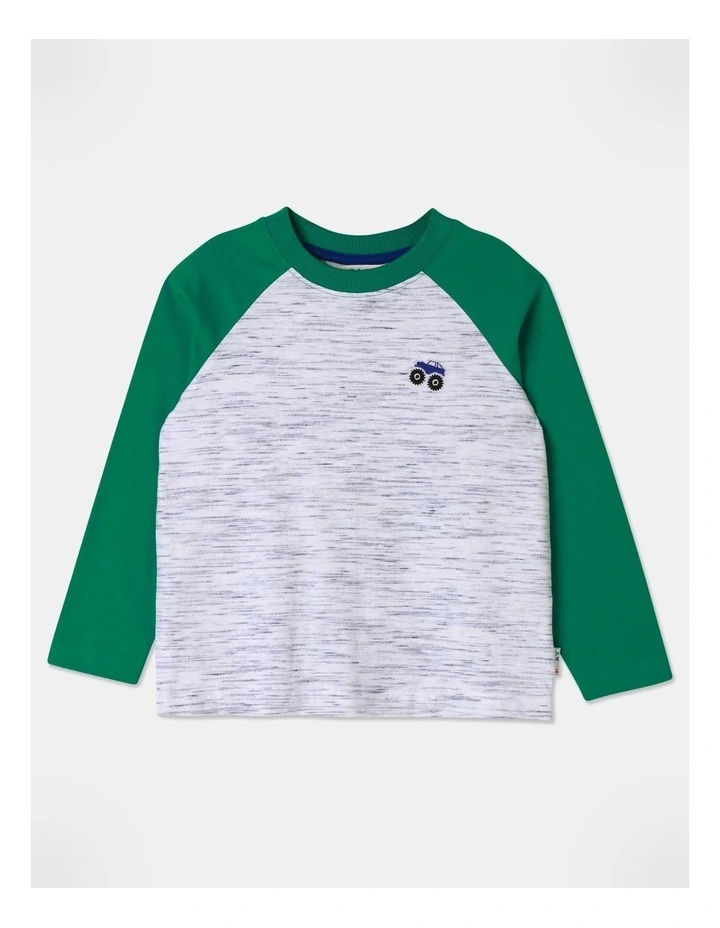 Long Sleeve Space Dye Raglan Tee in Green