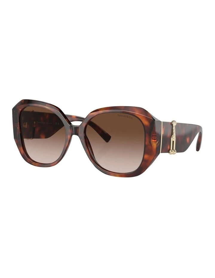 Tortoise TF4207BF Sunglasses in Brown
