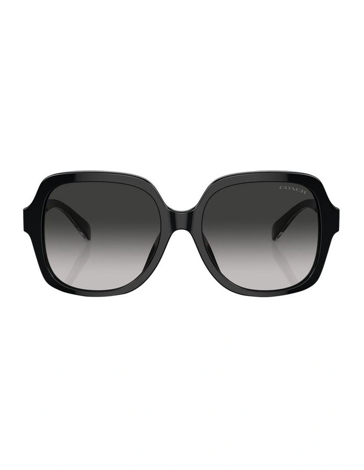 CR614 Sunglasses in Black