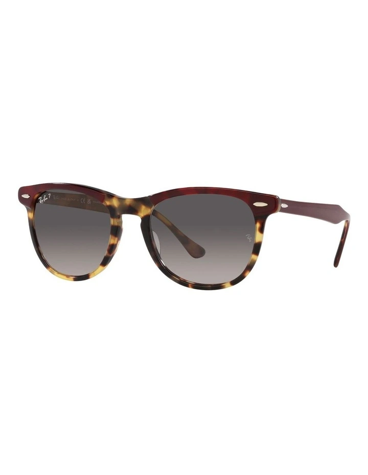 Eagle Eye Polarised Sunglasses in Red