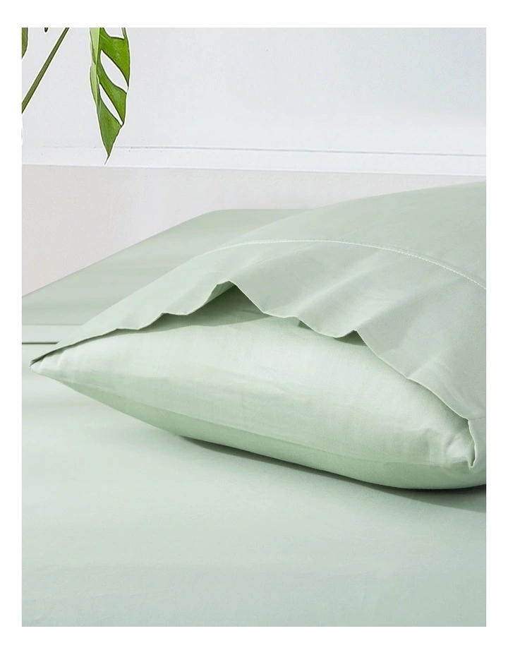 500TC Cotton Sateen Standard Pillowcase (Twin Pack) in Sage