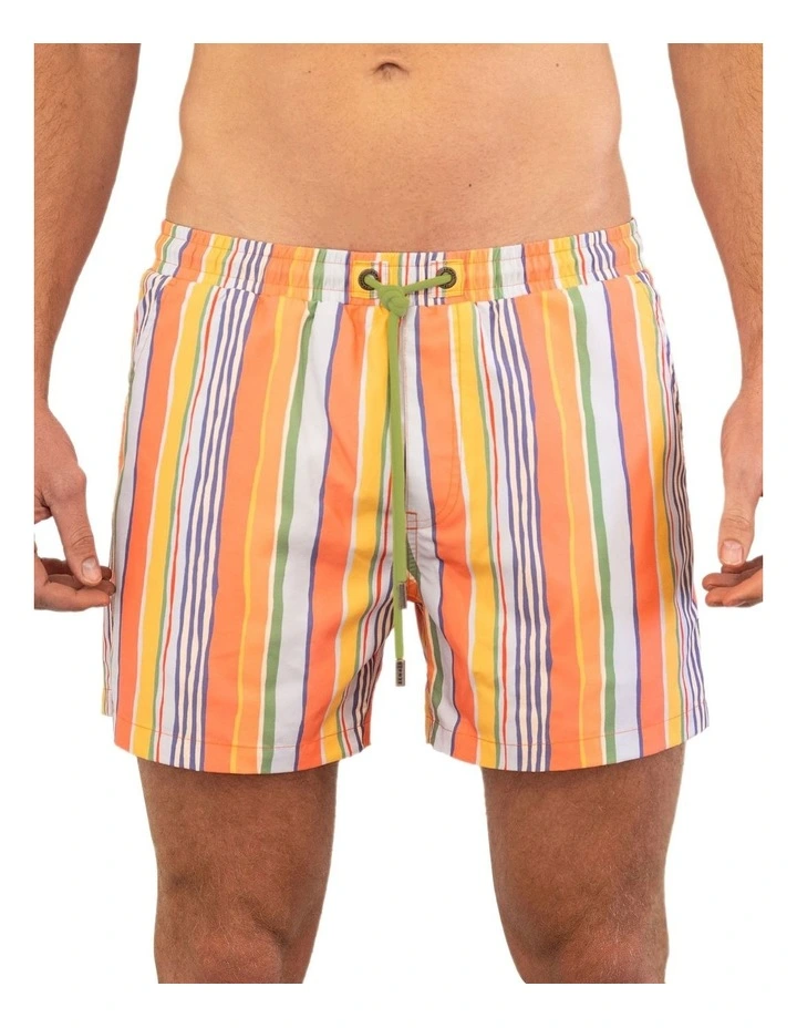 Splice Bomb Swim Shorts in Multi-Stripe