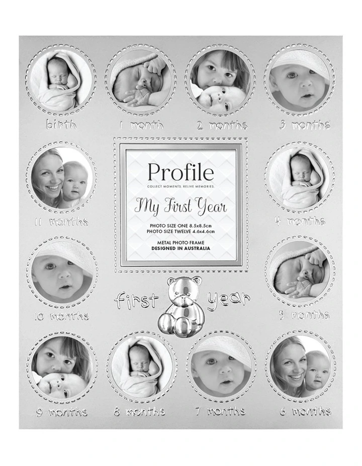 My First Year Metal Baby Frame 13 Photos in Silver