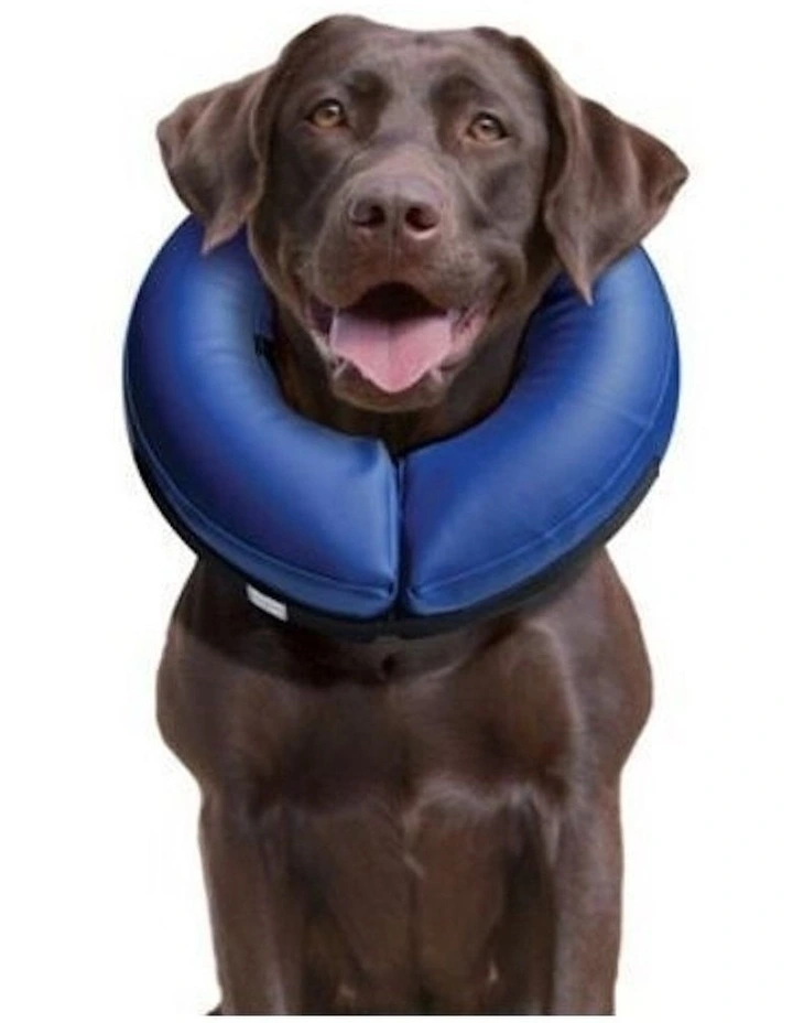 X-Small Inflatable Medical Collar in Blue