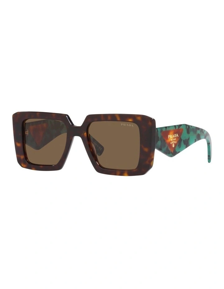 PR 23YSF Sunglasses in Tortoise