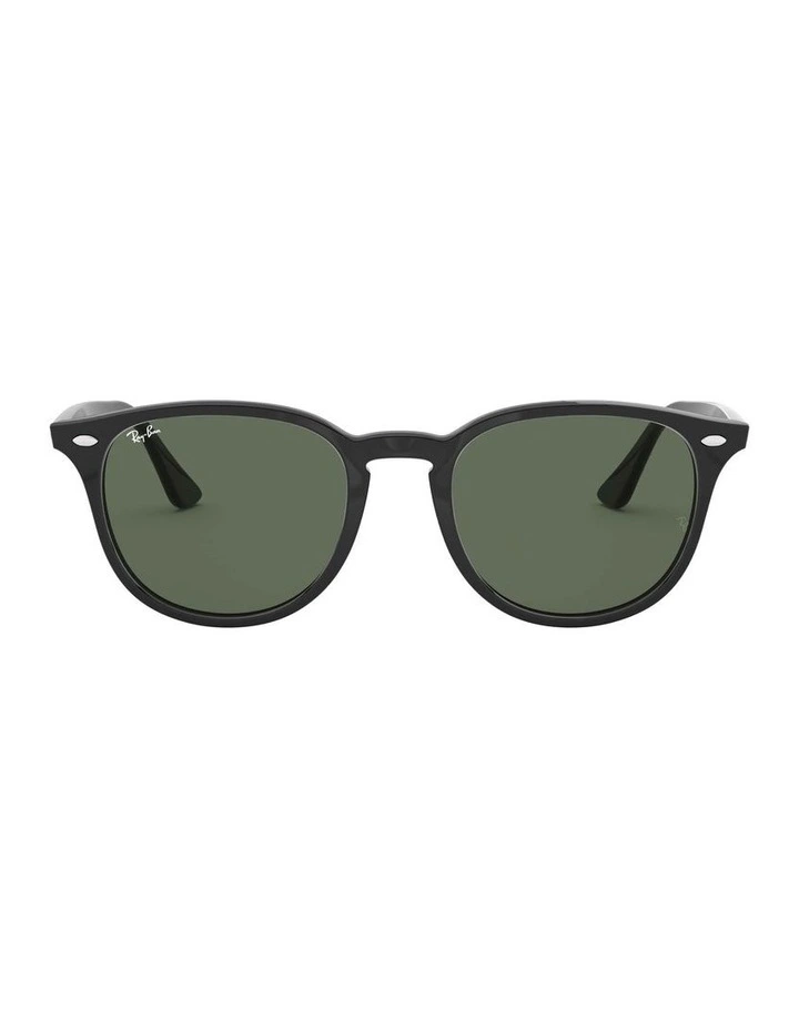 Black RB4259F Sunglasses