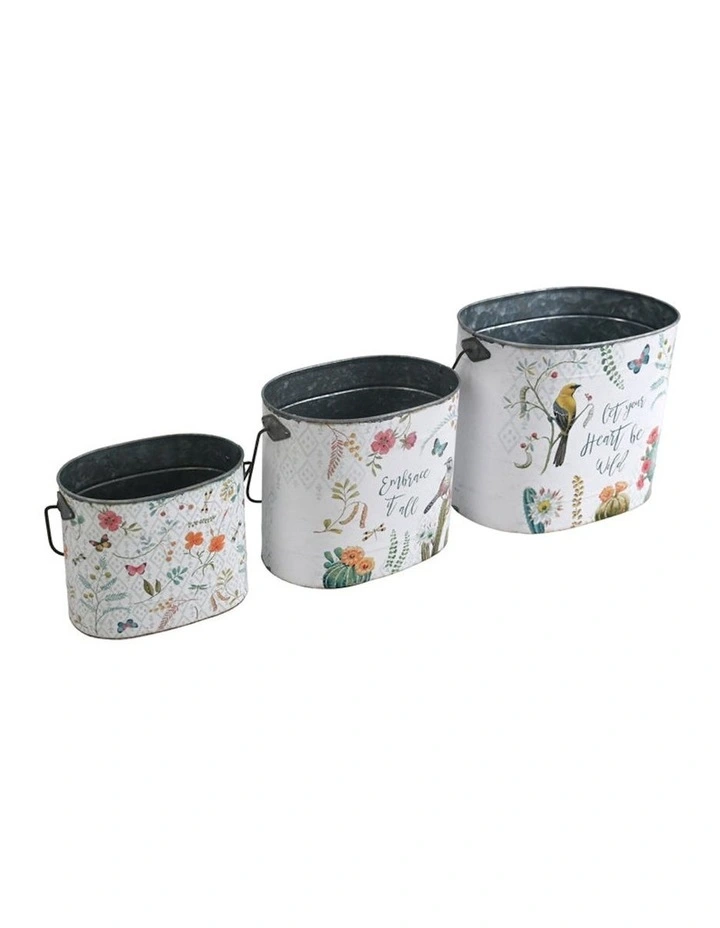 Birds & Butterflies Pot Planter Buckets Set of 3 in Multi