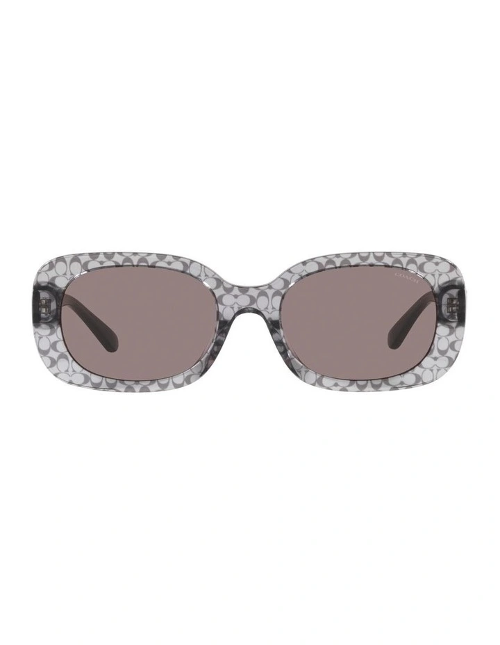 Transparent HCD471 Sunglasses in Grey