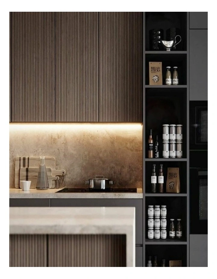 RHSOG61 Concealed Slideout Rangehood 60cm in Silver