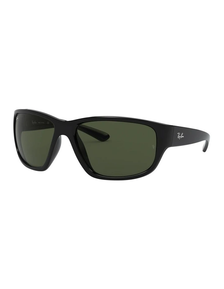RB4300 Black Sunglasses