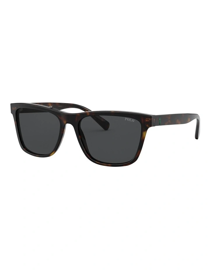 Color Shop Square Sunglasses in Brown
